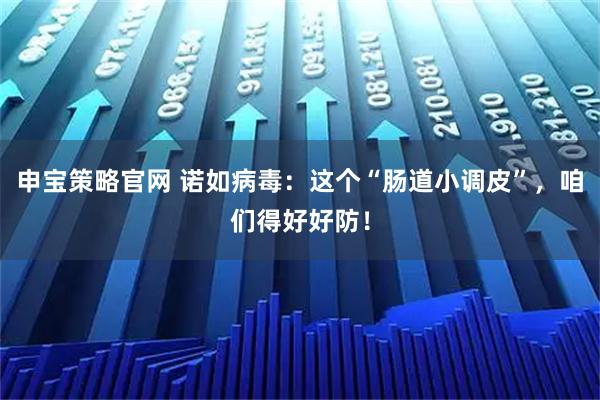 申宝策略官网 诺如病毒:这个“肠道小调皮”,咱们得好好防!