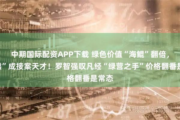 中期国际配资APP下载 绿色价值“海鲲”翻倍，“黑熊”成接案天才！罗智强叹凡经“绿营之手”价格翻番是常态